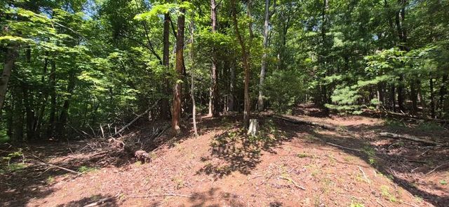 3.4 acre Peach Lane, Ellijay, GA 30536
