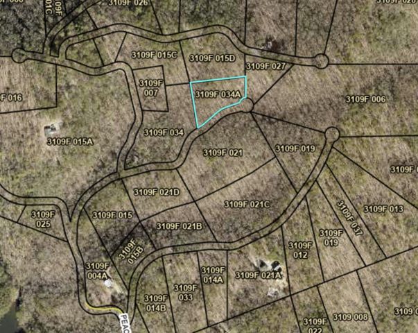 3.4 acre Peach Lane, Ellijay, GA 30536
