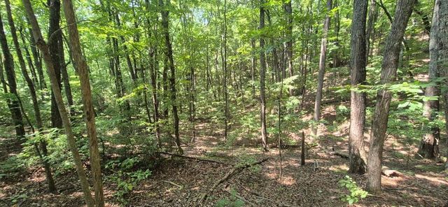 3.4 acre Peach Lane, Ellijay, GA 30536