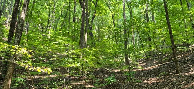 3.4 acre Peach Lane, Ellijay, GA 30536