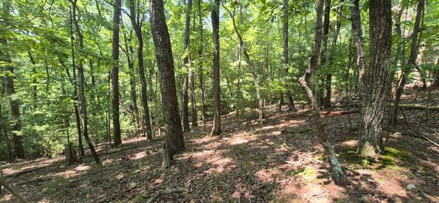 3.4 acre Peach Lane, Ellijay, GA 30536