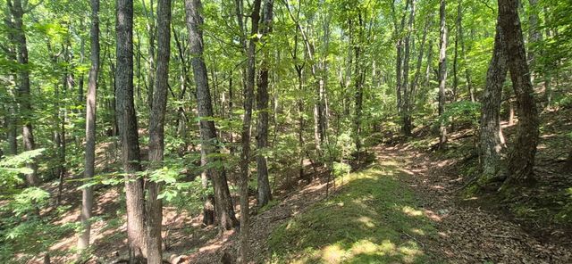 3.4 acre Peach Lane, Ellijay, GA 30536