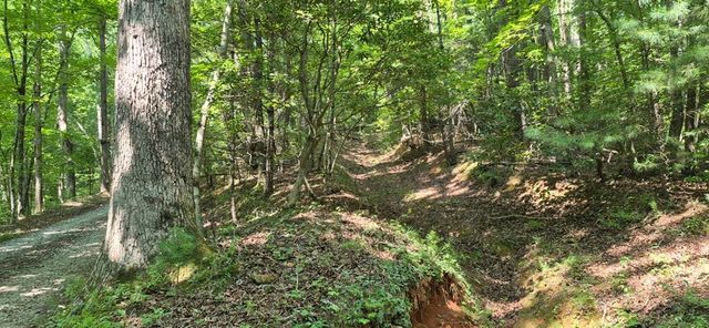 3.4 acre Peach Lane, Ellijay, GA 30536