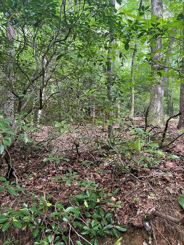 3.4 acre Peach Lane, Ellijay, GA 30536