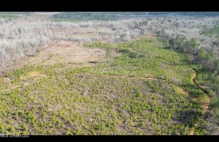 01 Highway 19, Philadelphia, MS 39350