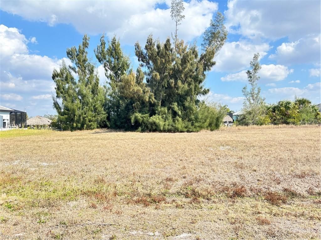 2347 NW 38th AVE, CAPE CORAL, FL 33993 — photo 3