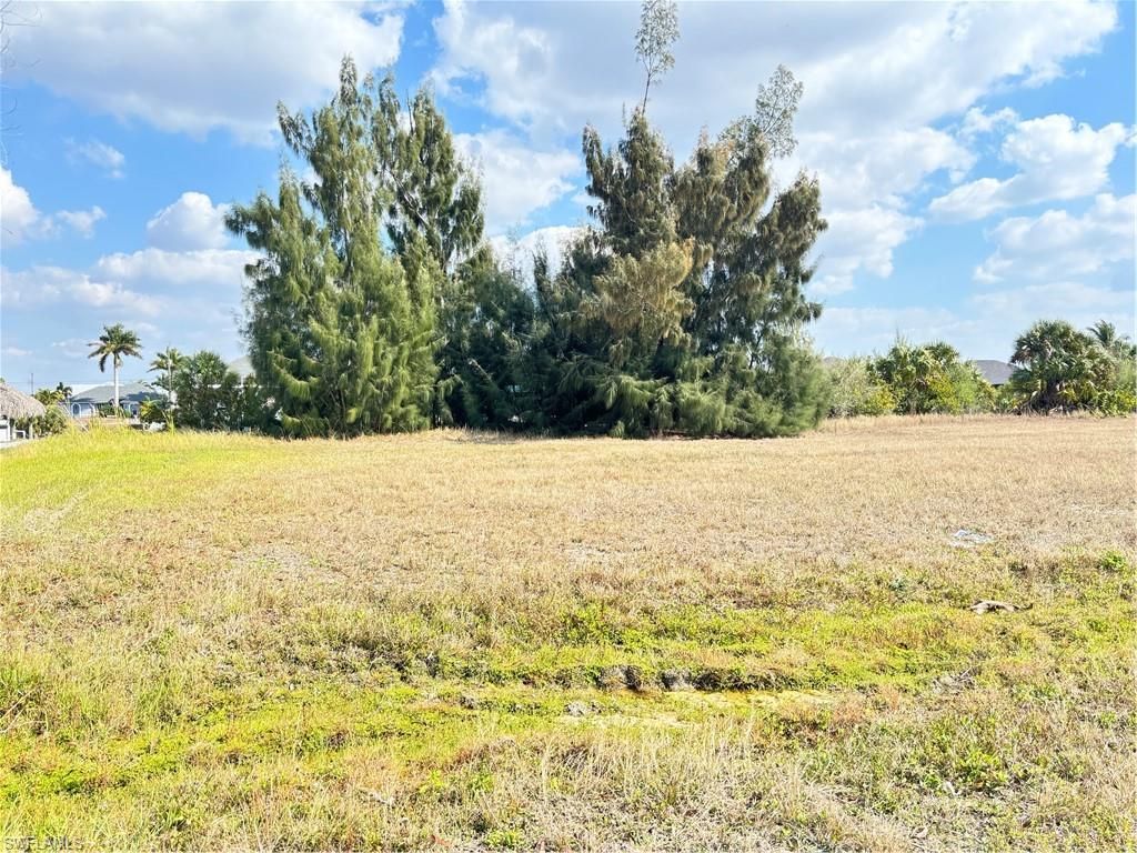 2347 NW 38th AVE, CAPE CORAL, FL 33993 — photo 4