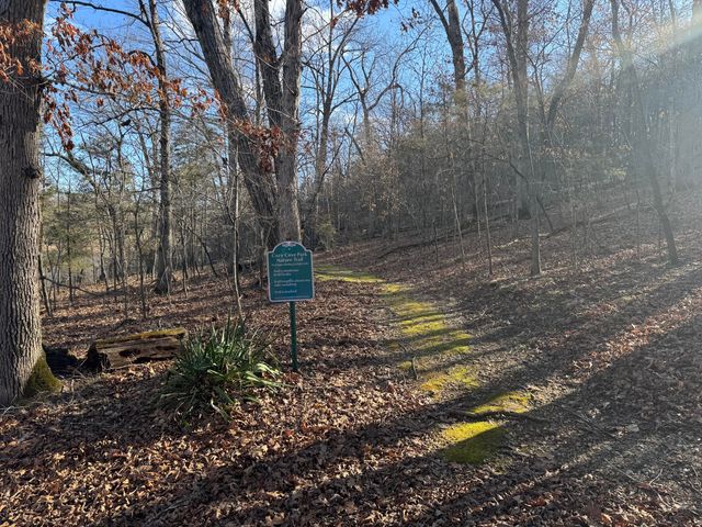 7860 Cozy Cove Road 60, Branson, MO 65616