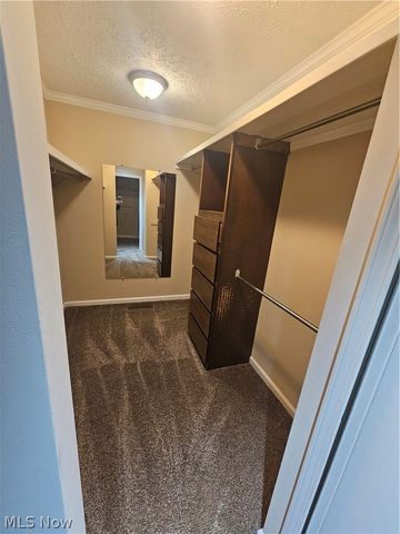 21586 Little Brook Way, Strongsville, OH 44149