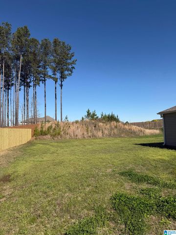 432 STAGE COACH BOULEVARD, Kimberly, AL 35091