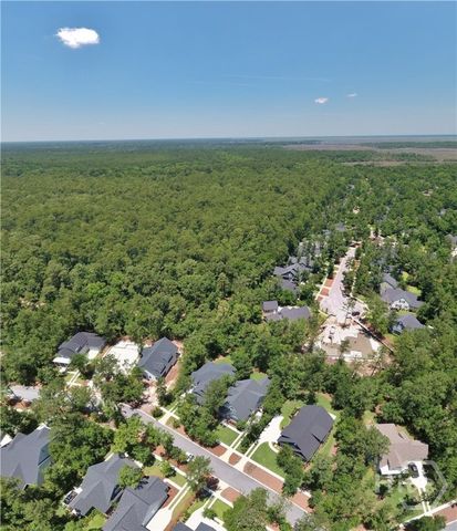 40 Bradford Pear Drive, Richmond Hill, GA 31324