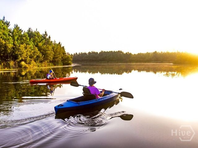 40 Bradford Pear Drive, Richmond Hill, GA 31324