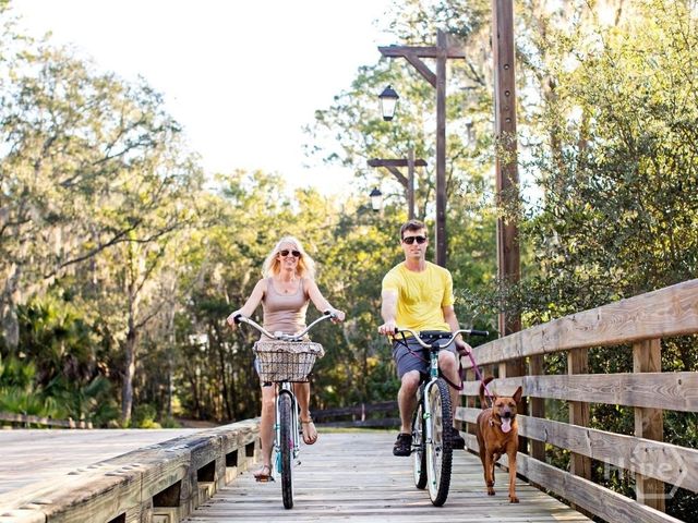 40 Bradford Pear Drive, Richmond Hill, GA 31324