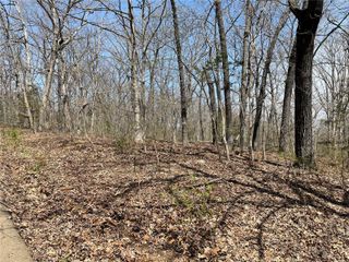 9352 Pea Ridge Drive, Hillsboro, MO 63050