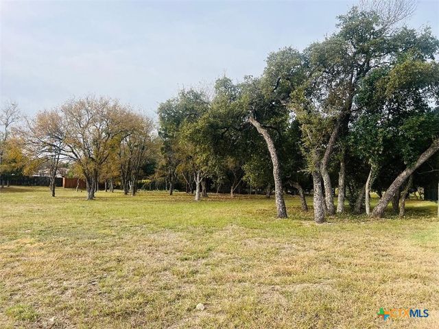 2009 Chalk Mill Crossing, Salado, TX 76571