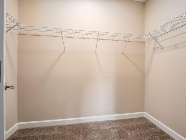 5864 Whitebark Pine Trail, Dublin, OH 43016