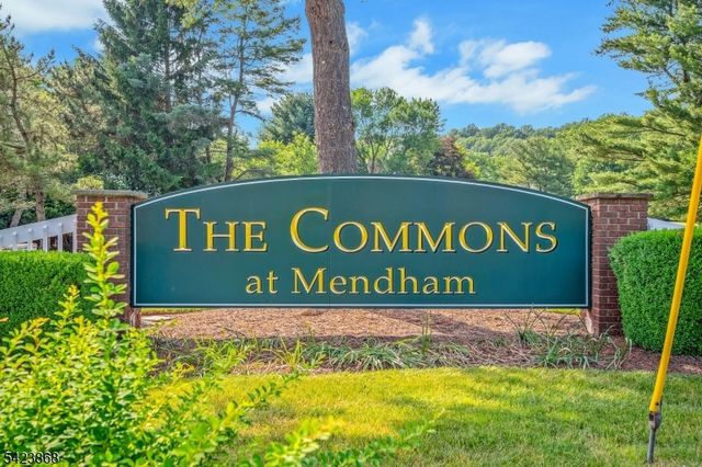 8 Pembroke Dr, Mendham Boro, NJ 07945
