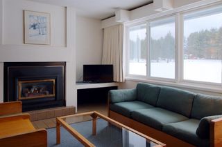 185 Village Green Dr Unit 8D, Stowe, VT 05672