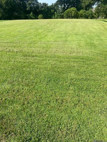 36451 S Francine Cir, Geismar, LA 70734