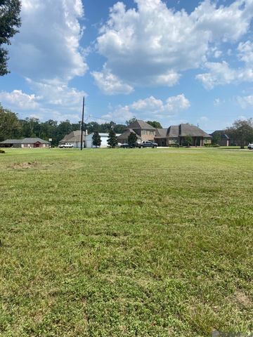 36451 S Francine Cir, Geismar, LA 70734