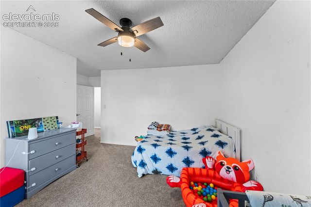 2013 Sussex Lane, Colorado Springs, CO 80909