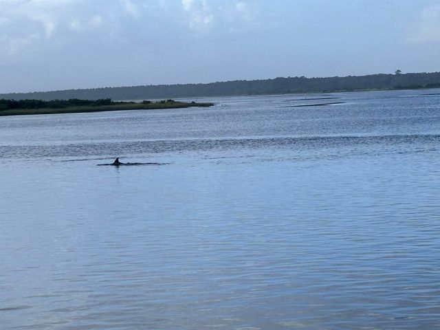 7265 A1A South D9 D9, St Augustine, FL 32080