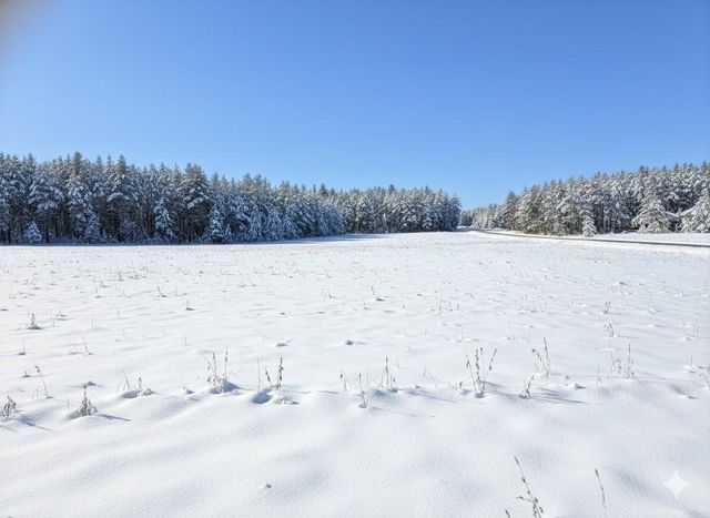 2913 Walton Road, Paradise Twp, MI 49649