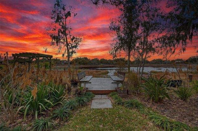 19902 DOLORES ANN COURT, Lutz, FL 33549