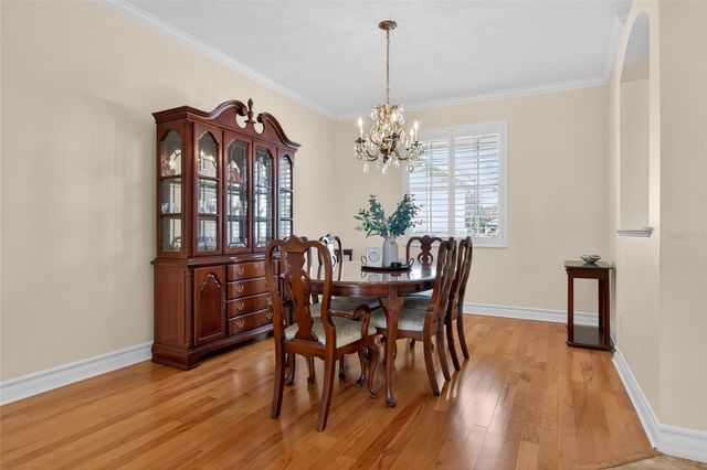 19902 DOLORES ANN COURT, Lutz, FL 33549