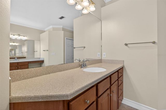 19902 DOLORES ANN COURT, Lutz, FL 33549