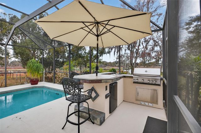 19902 DOLORES ANN COURT, Lutz, FL 33549