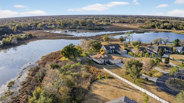 19902 DOLORES ANN COURT, Lutz, FL 33549