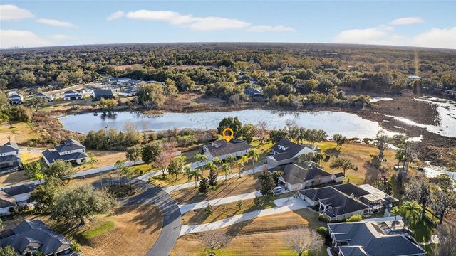 19902 DOLORES ANN COURT, Lutz, FL 33549