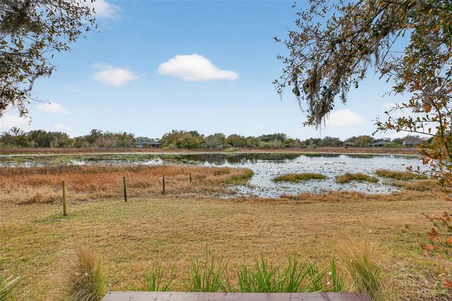 19902 DOLORES ANN COURT, Lutz, FL 33549