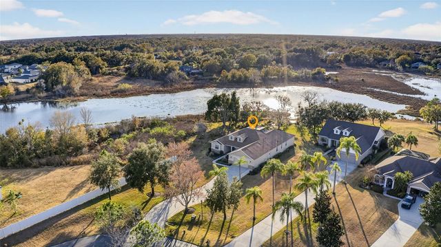 19902 DOLORES ANN COURT, Lutz, FL 33549