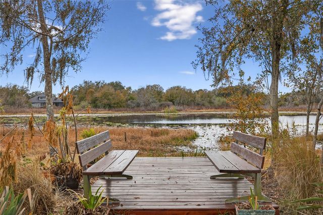 19902 DOLORES ANN COURT, Lutz, FL 33549