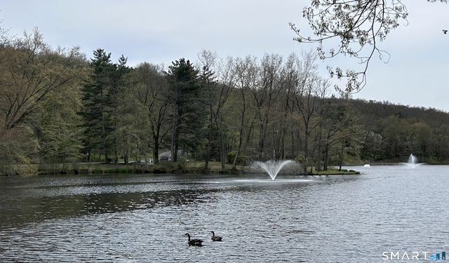 54 Clubhouse Drive 54, Woodbury, CT 06798