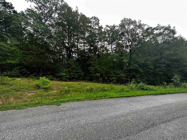 Lot 47 Cobalt Bay Drive, Shirley, AR 72153