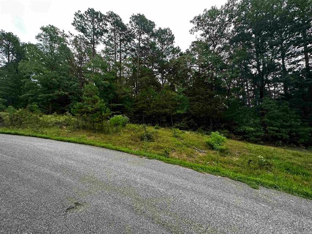 Lot 47 Cobalt Bay Drive, Shirley, AR 72153