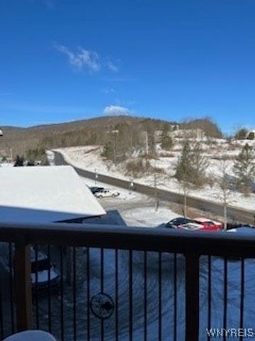 6447 Holiday Valley Road 410412-2, Ellicottville, NY 14731