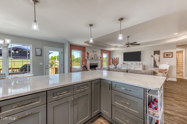 1366 Lemongrass Drive, Jonesborough, TN 37659