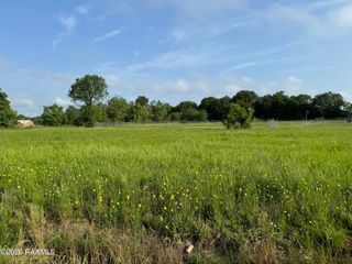 Harold Street 15c, Opelousas, LA 70570