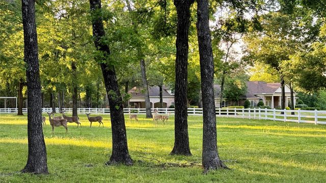 15216 Saddlewood Drive, Conroe, TX 77384