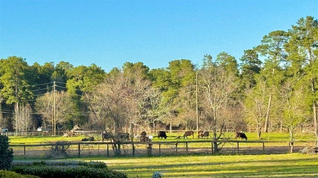 15216 Saddlewood Drive, Conroe, TX 77384