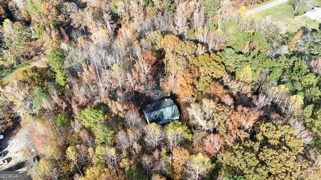 1225 Coppermine Road, Buchanan, GA 30113