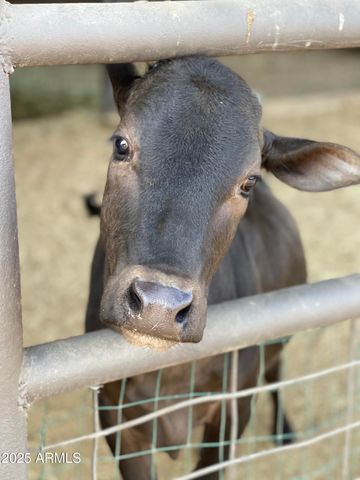 30434 N 59TH Street, Cave Creek, AZ 85331