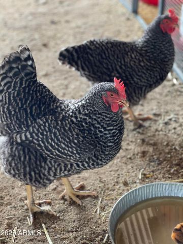 30434 N 59TH Street, Cave Creek, AZ 85331