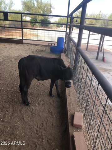 30434 N 59TH Street, Cave Creek, AZ 85331