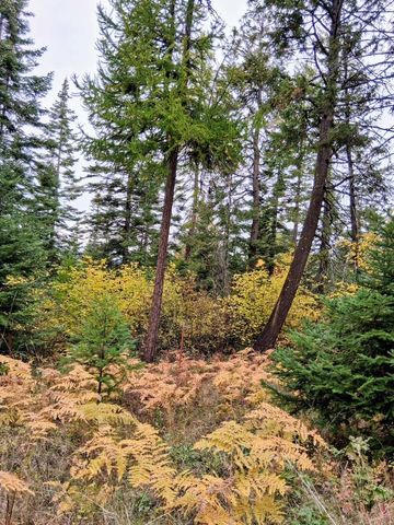 706 mccammon Rd, Elk, WA 99009