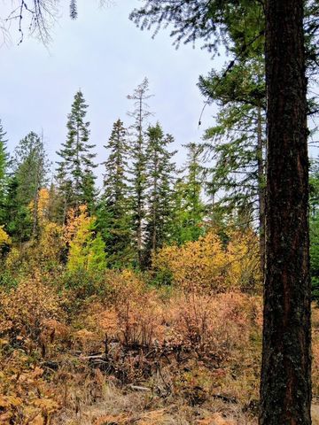 706 mccammon Rd, Elk, WA 99009